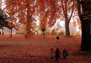 KASHMIR IN AUTUMN SEASON