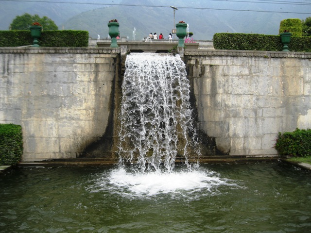 photo8
